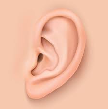 British People Big Ear