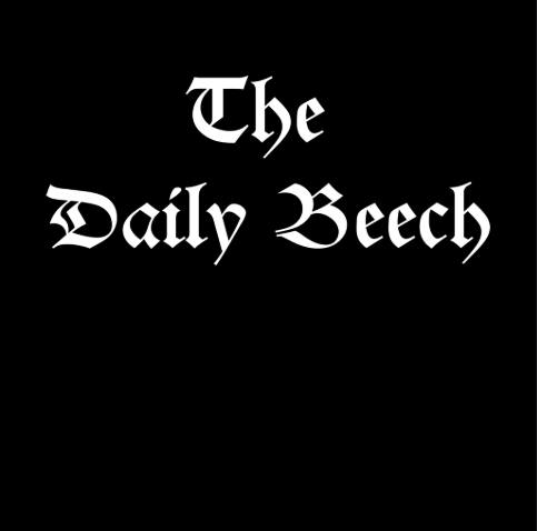The Daily Beech